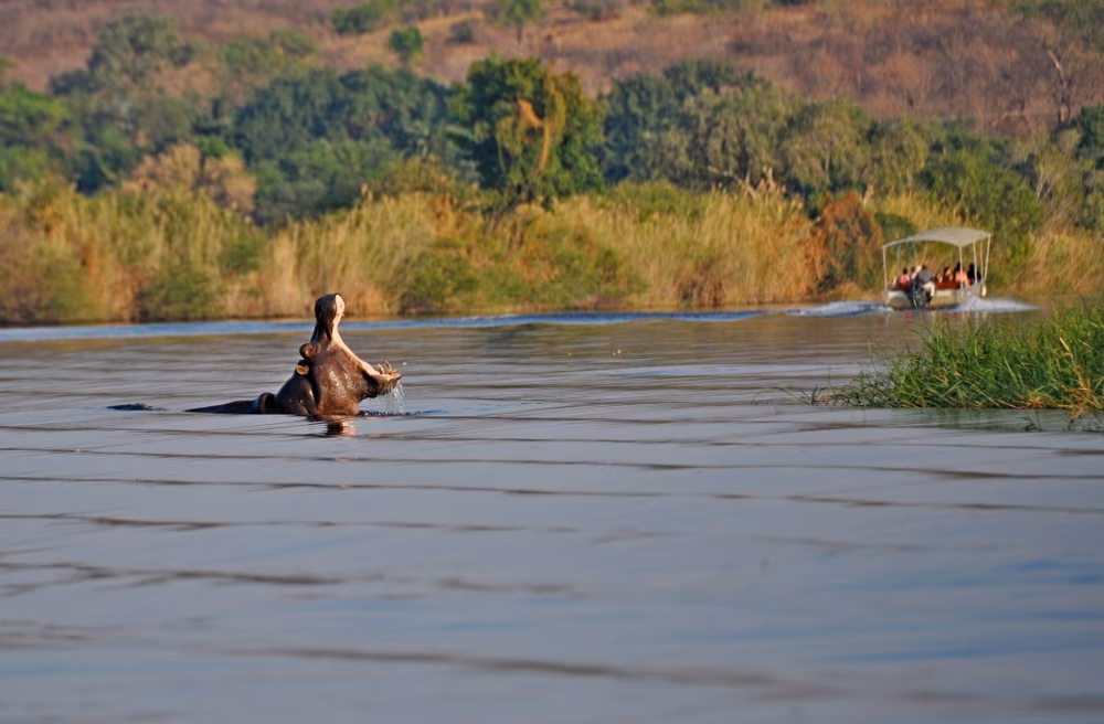 Loango, the kingdom of wild life