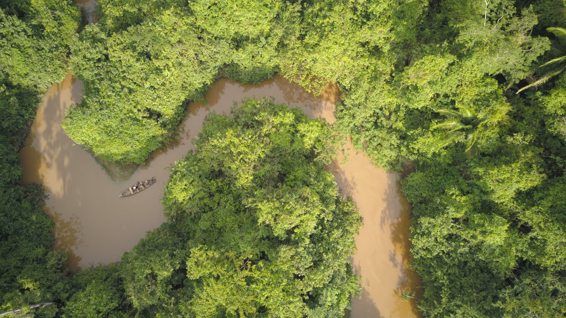 Peruvian Amazon Region