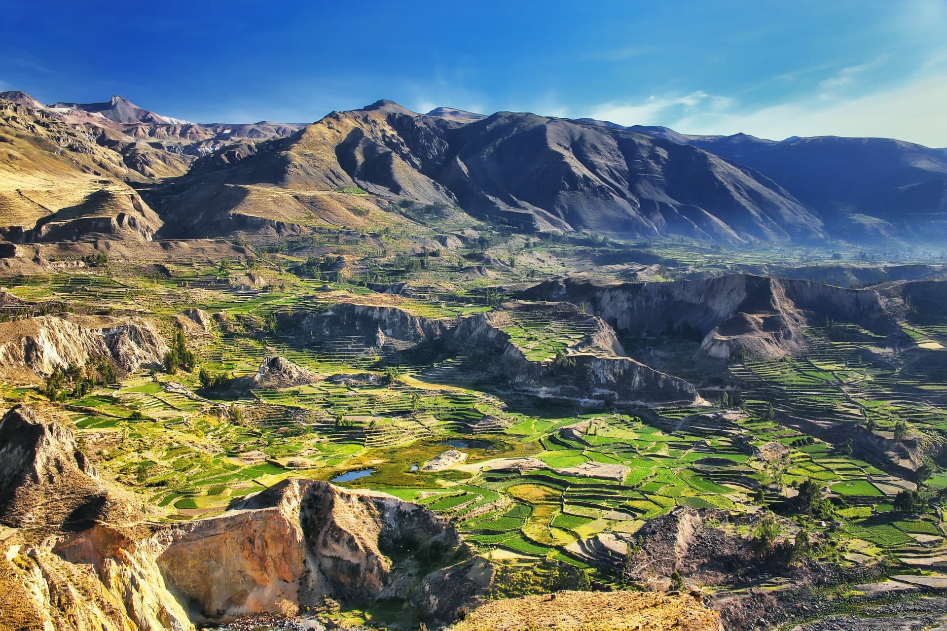 Colca Canyon