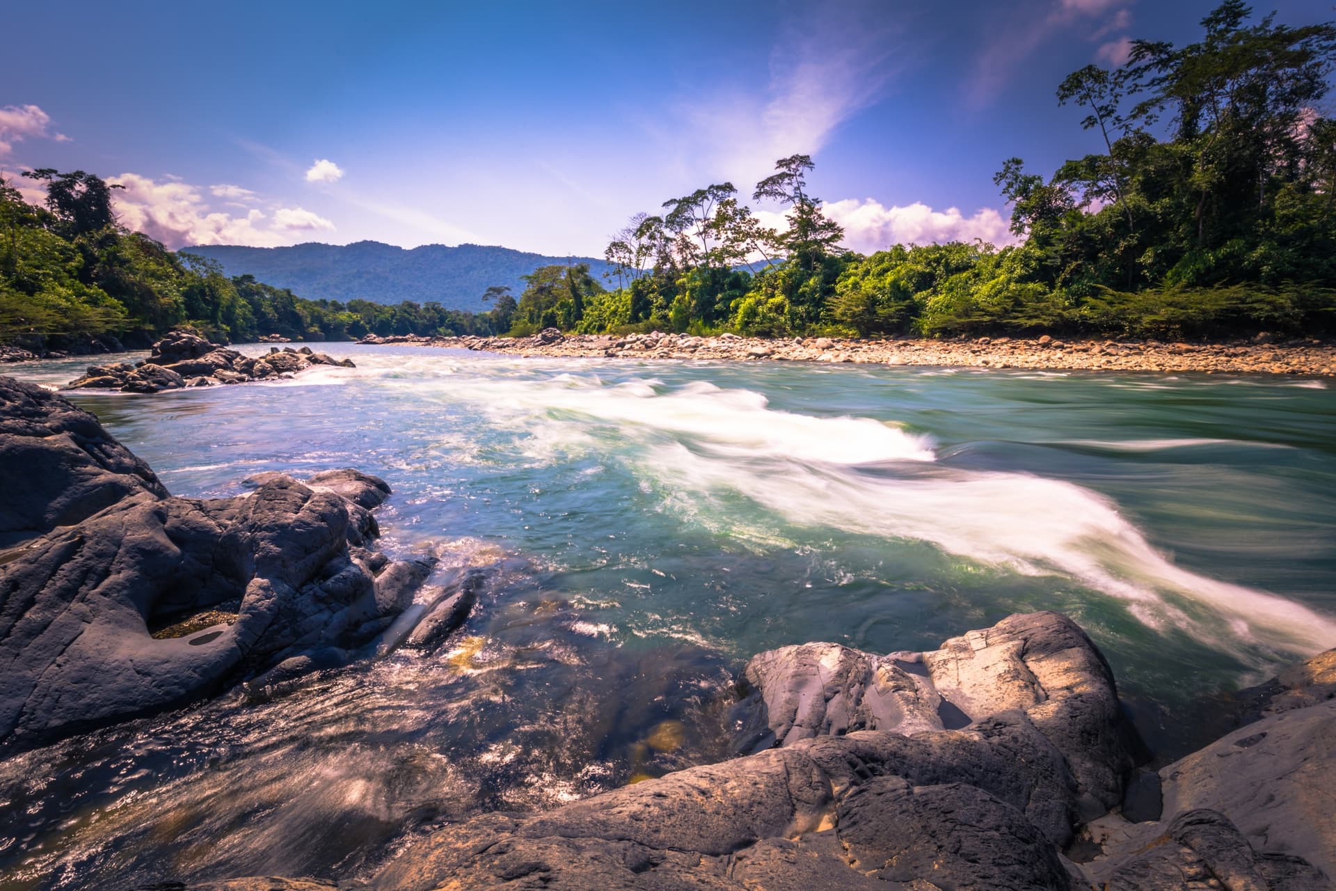 Manu National Park