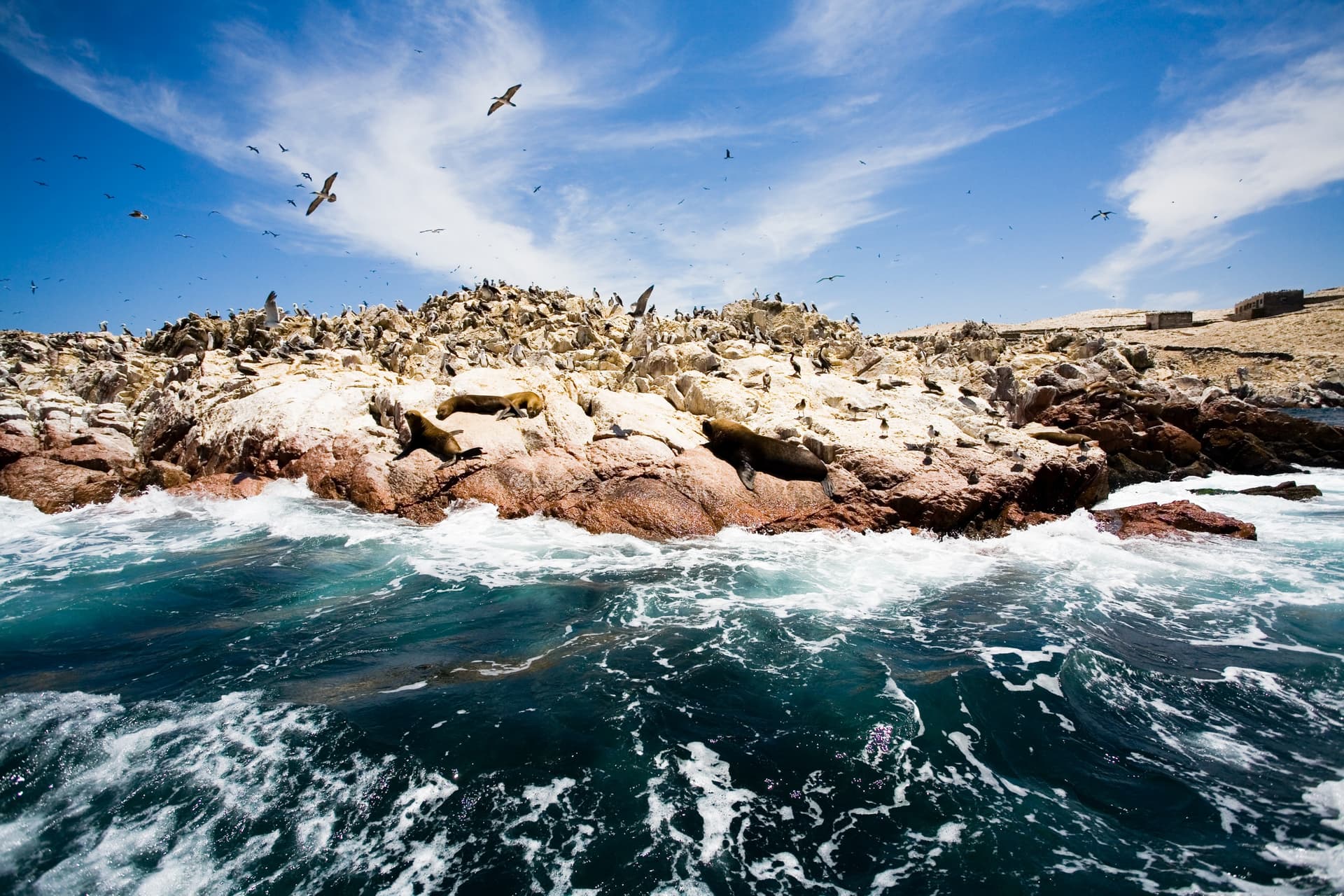 Ballestas Islands