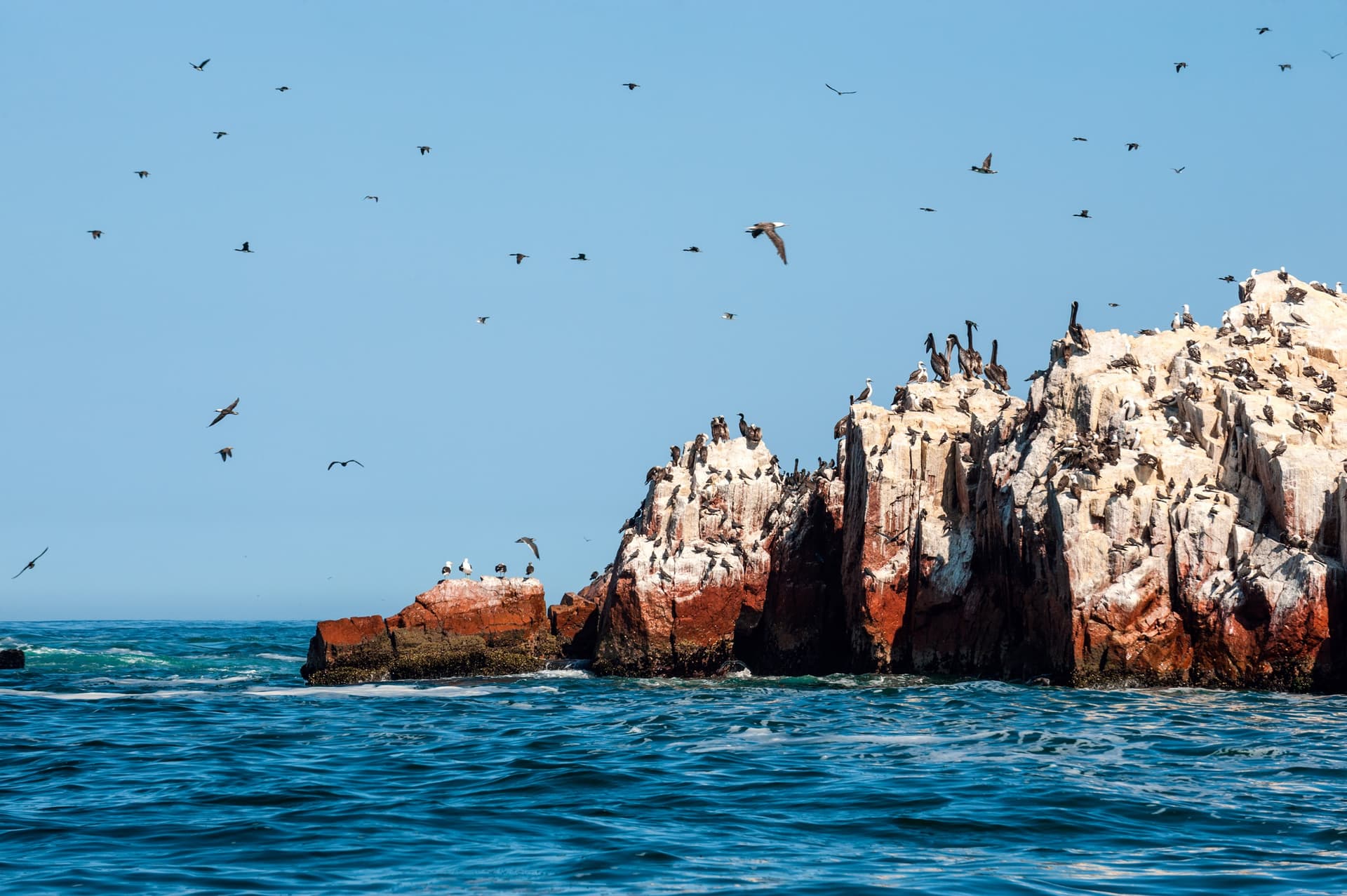 Protected Sites and Natural Reserves in Peru