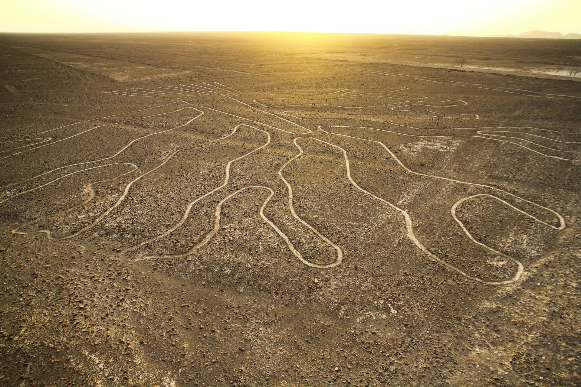 Pérou: Discovering the Mysterious Nazca Lines