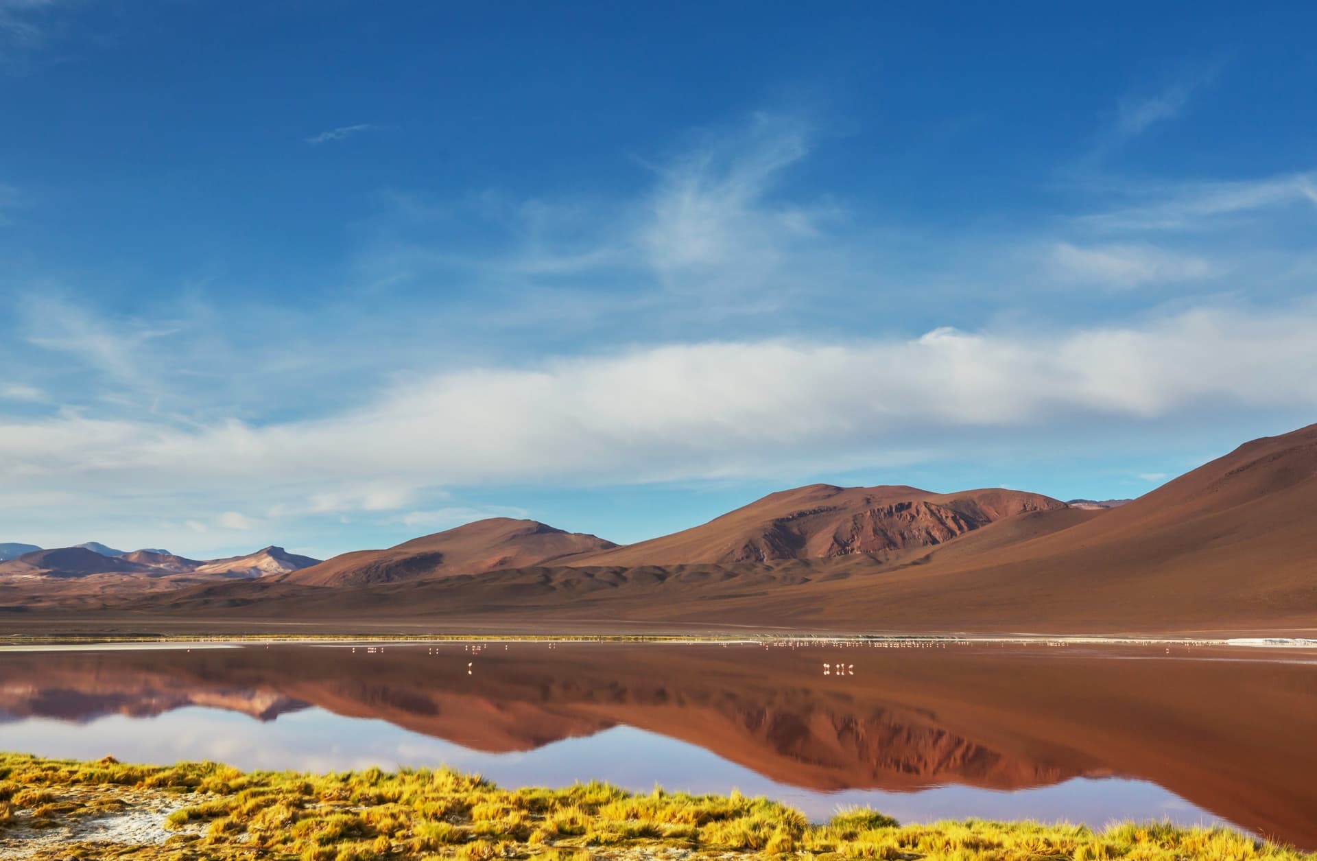 Altiplano Region