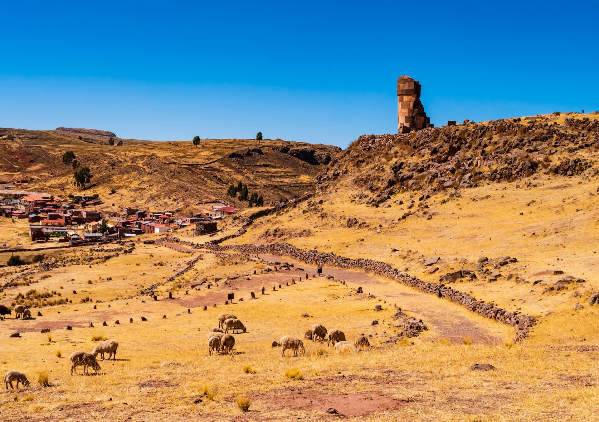 puno