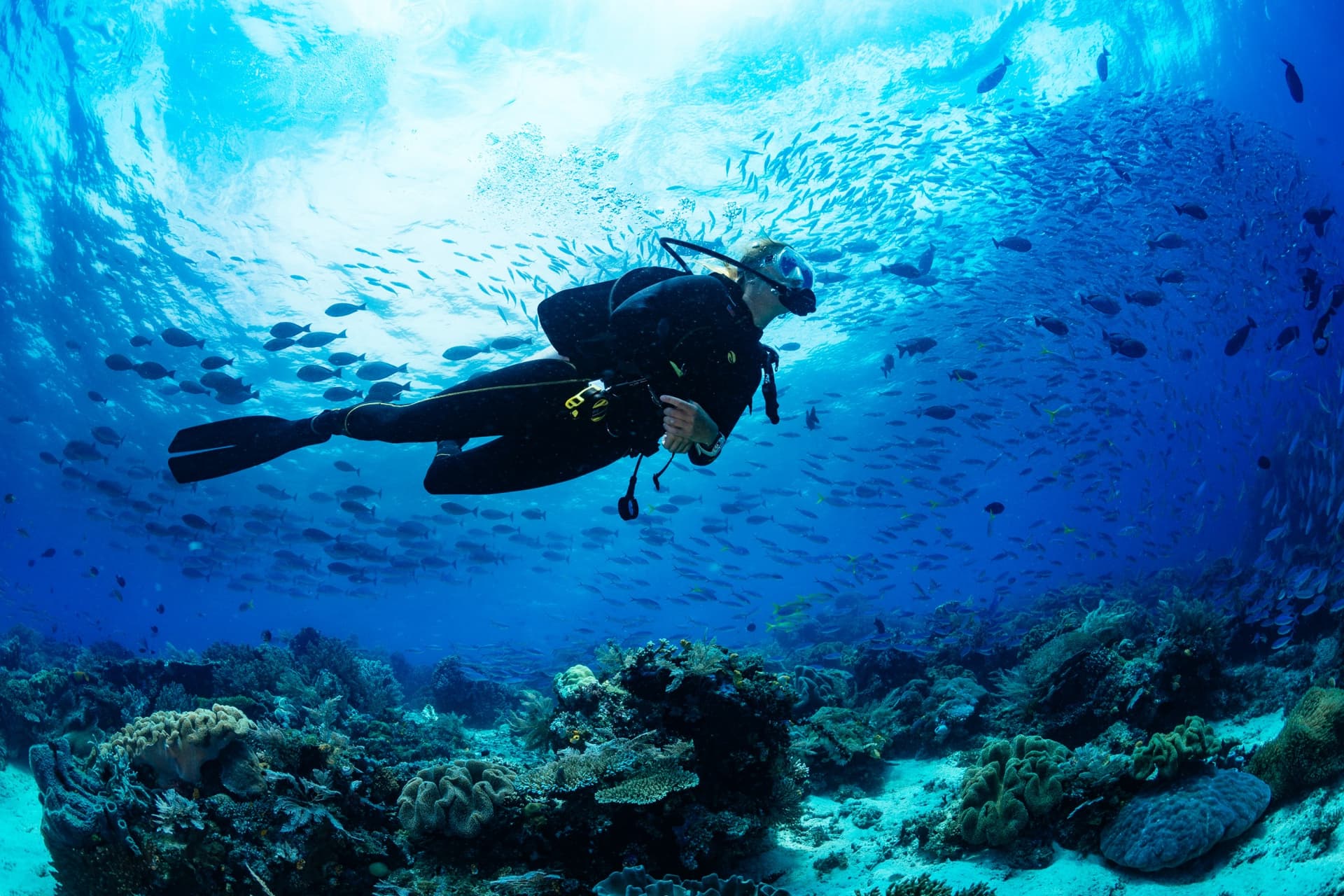 Stunning Diving Spots in Peru