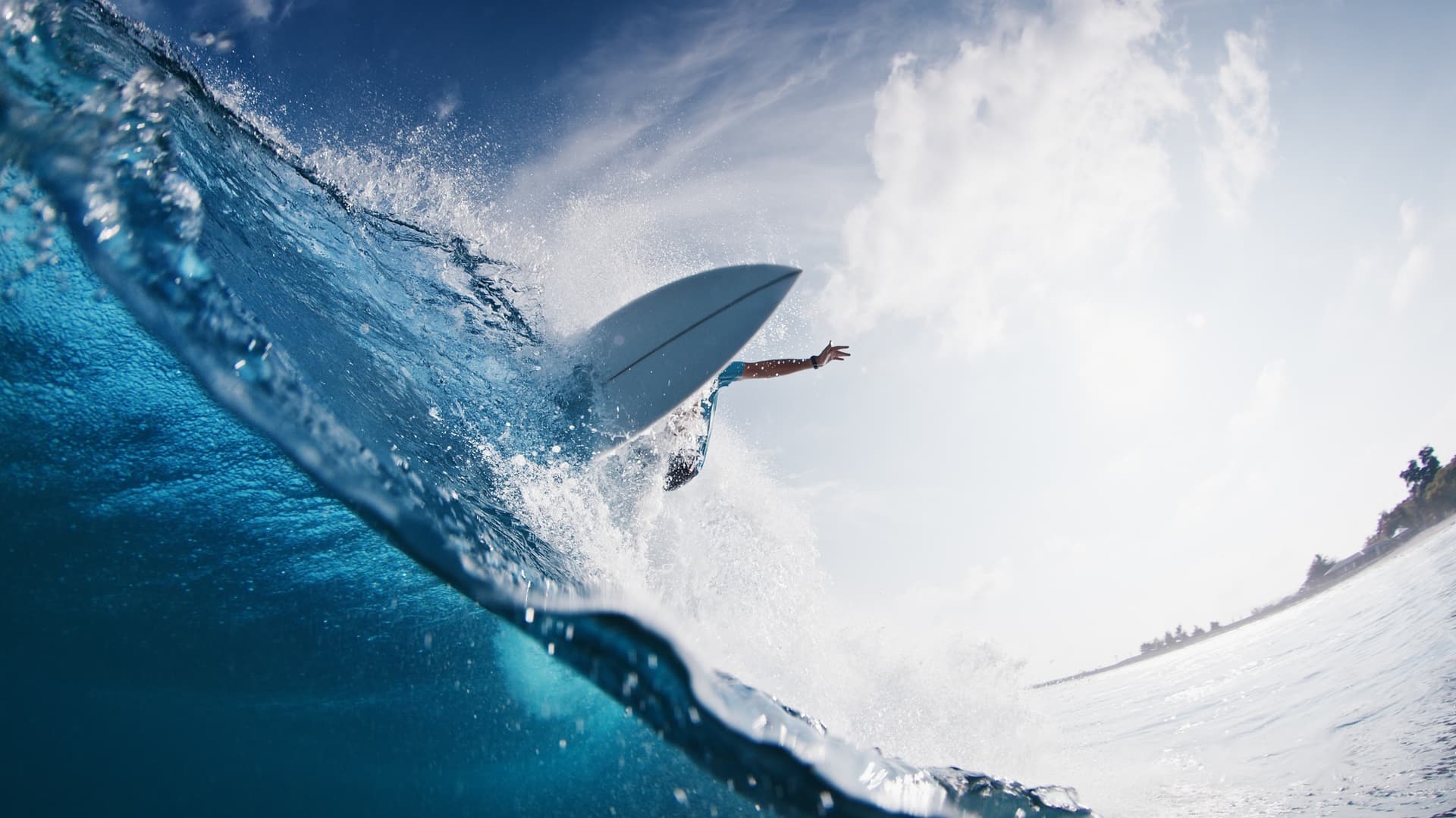 Surf