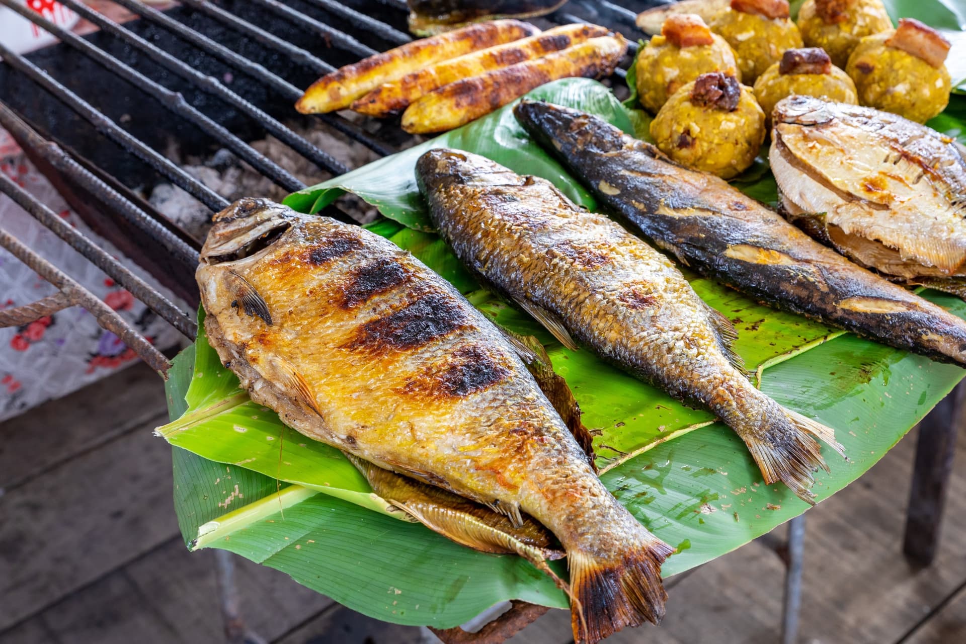 Discover Iquitos, Gateway to the Peruvian Amazon