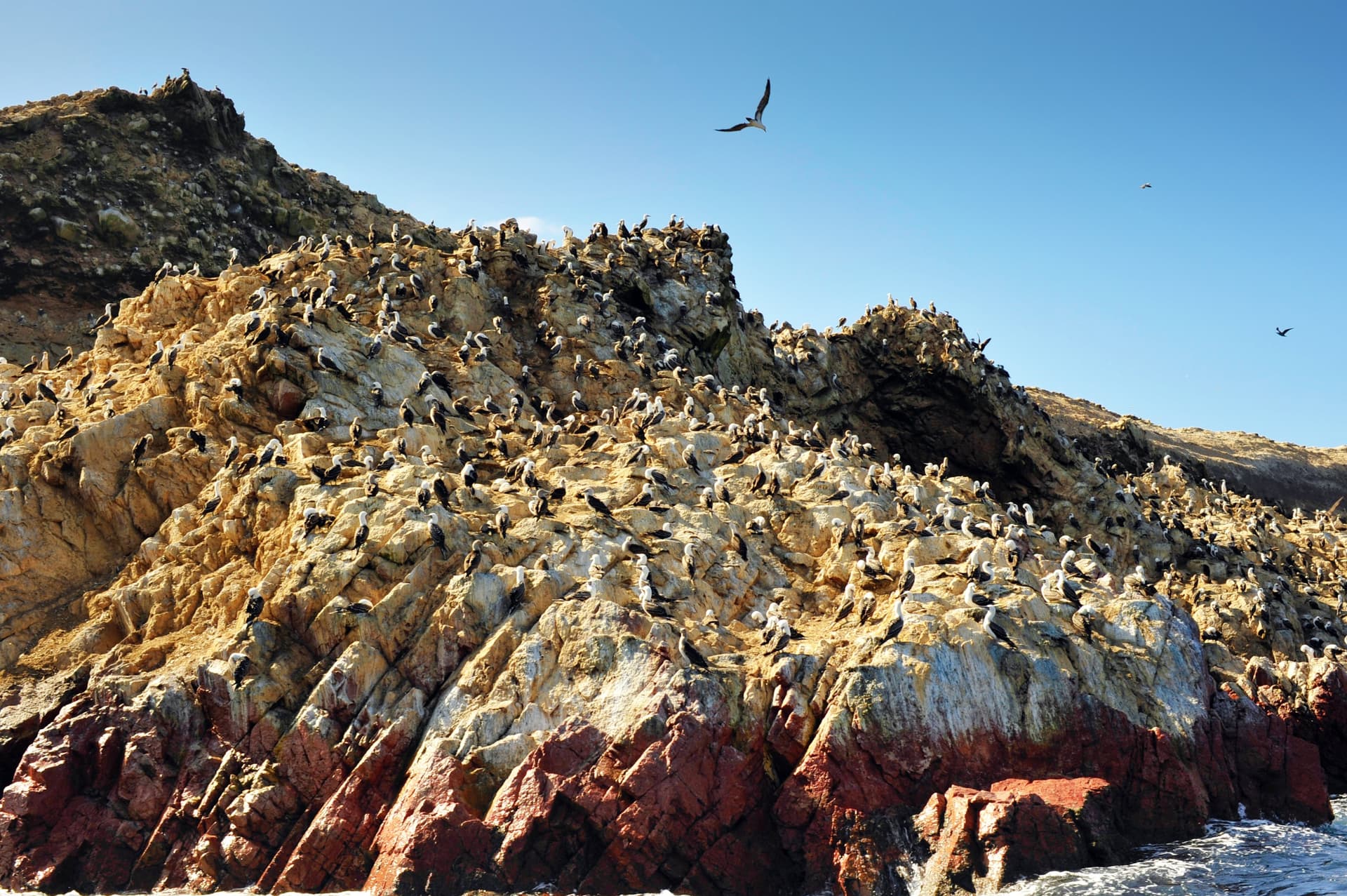 Paracas National Reserve